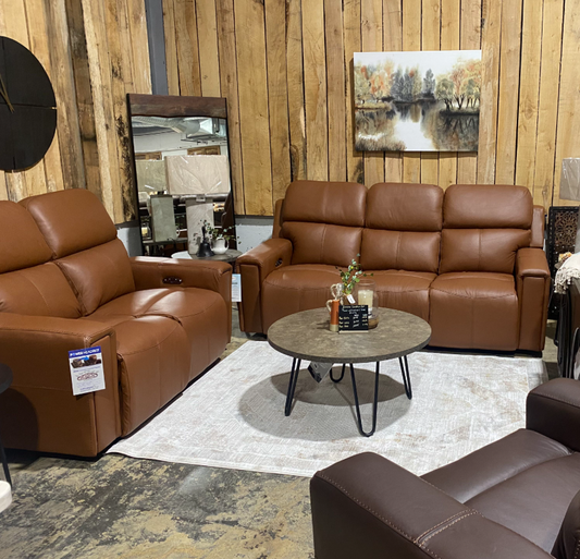 Arezzo Catnapper Living Room Group