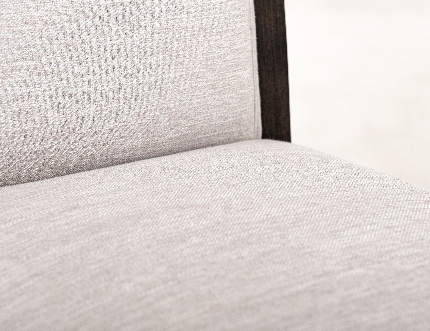 Raramuri - Upholstered Chair (Set of 2)