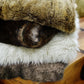 Wolf Fur - Faux Wolf Fur Throw Blanket - Brown