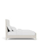 Carmella - Upholstered Bed