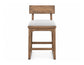 Balam - Upholstered Barstool (Set of 2)