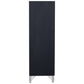 Ava - 5 Drawer Chest - Ebony