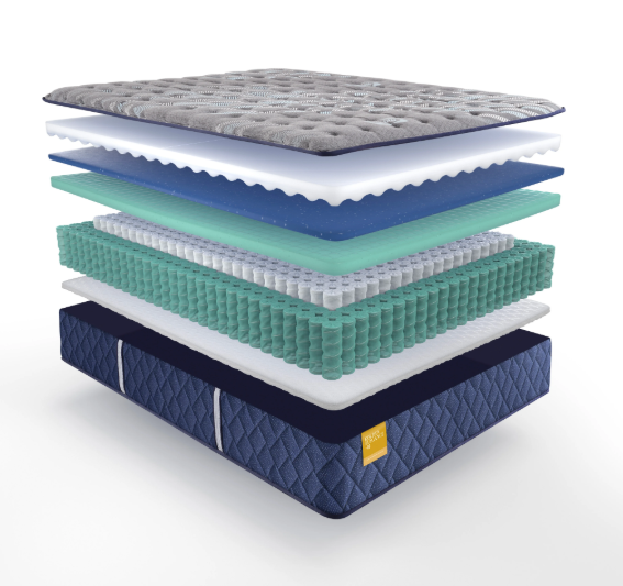 Sealy Firm Mattress
