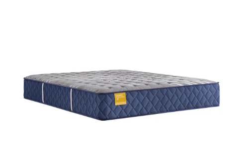 Sealy Firm Mattress