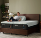 Tempur-Pedic Pro-Adapt Mattress