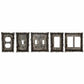 Birch Twig Switch Plate - 5" x 5" Birch Twig Double Rocker Wall Switch Plate  - Multi