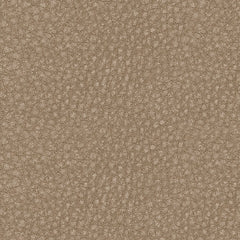 61004/46/58/62 : 61004S2