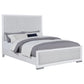 Gracemont 57-inch Queen Panel Bed Grey and White
