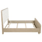 Ladera 56-inch Queen Panel Bed Light Elm