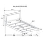 Felicity Wood Queen LED Panel Bed White High Gloss