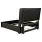 Leandro 55-inch Queen Wingback Bed Burnished Black