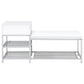 Siega 1-Drawer Shoe Storage Entryway Bench White High Gloss and Chrome