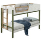 Evren Twin-over-Twin Bunk Bed with Ladder Tri-Tone