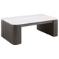 Lior 2-Piece Rectangular Marble Top Coffee and End Table Set Charcoal