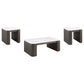 Lior 3-Piece Rectangular Marble Top Coffee and End Table Set Charcoal