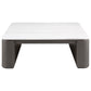 Lior 2-Piece Square Marble Top Coffee and End Table Set Charcoal