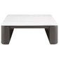 Lior 3-Piece Square Marble Top Coffee and End Table Set Charcoal