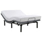 Tasca Queen Dual-Motor Adjustable Bed Base in Black