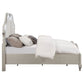 Evangeline Wood California King LED Panel Bed Silver Oak