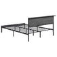 Ricky Metal Full Panel Bed Grey